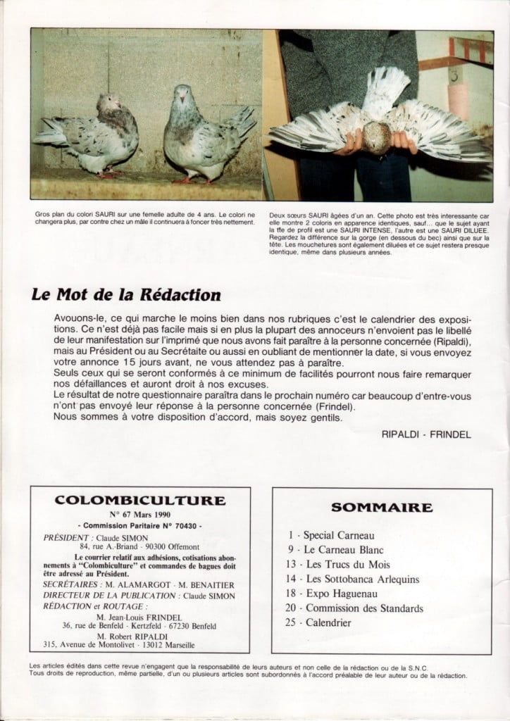 Article les sottobanca arlequins Colombiculture n°67 mars 1990 Par Jean Clavier