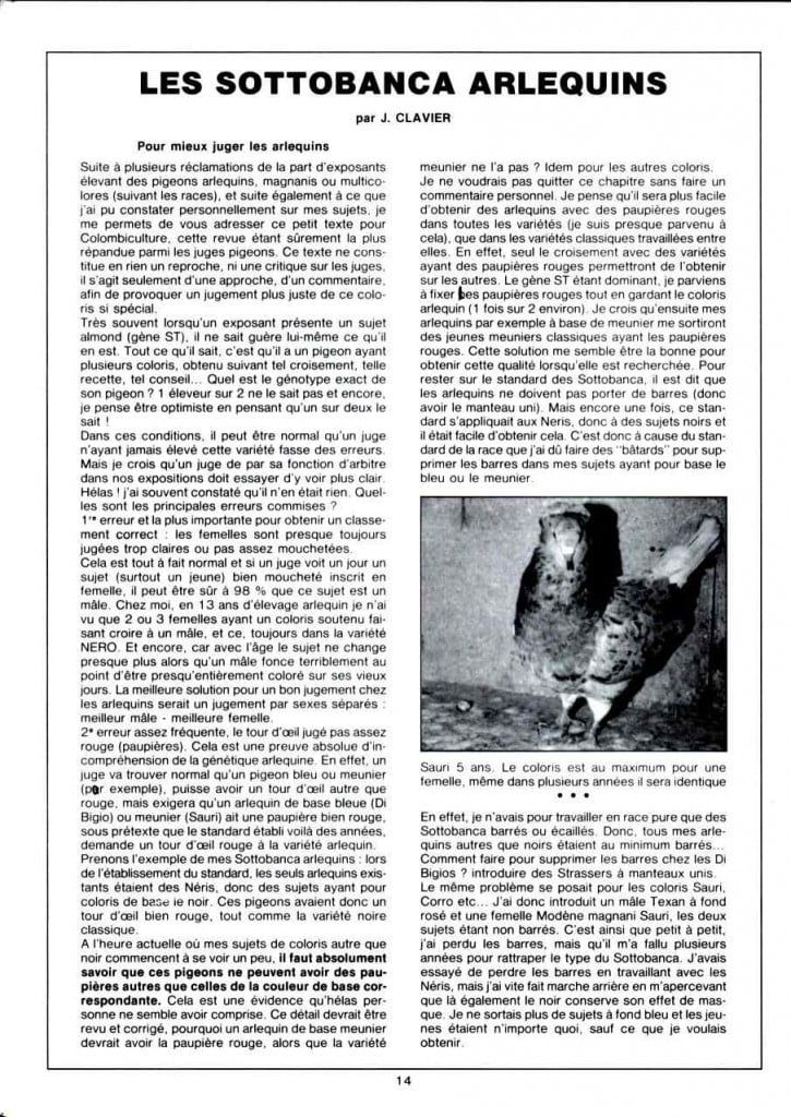 Article les sottobanca arlequins Colombiculture n°67 mars 1990-1 Par Jean Clavier