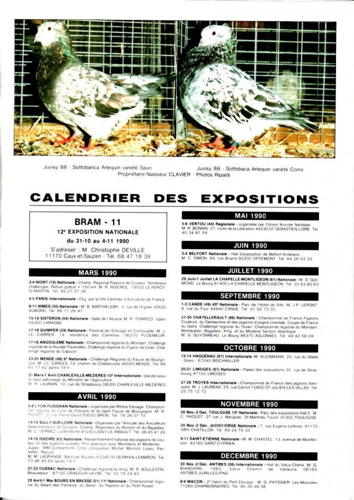 Article les sottobanca arlequins Colombiculture n°67 mars 1990-5 Par Jean Clavier